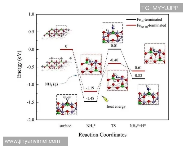北京网球队实力分析与发展前景的深度探讨与展望
