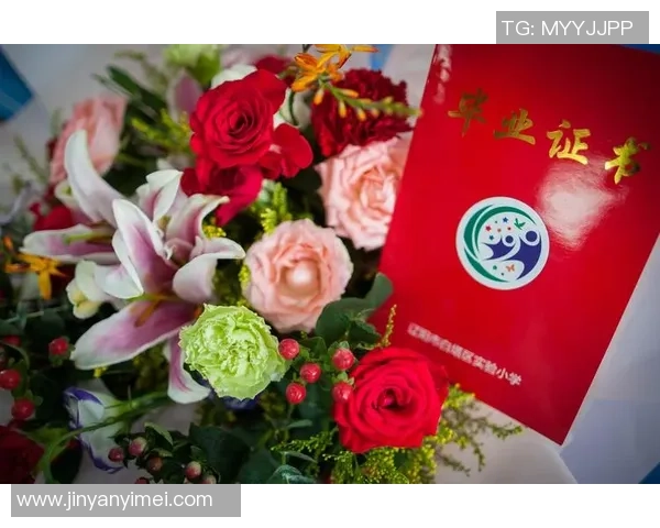 与王强畅谈飞盘生涯的点滴与成长之路