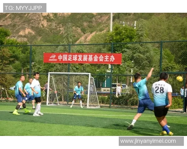 探索足球赛的多样性与魅力：从职业联赛到业余比赛的全面解析