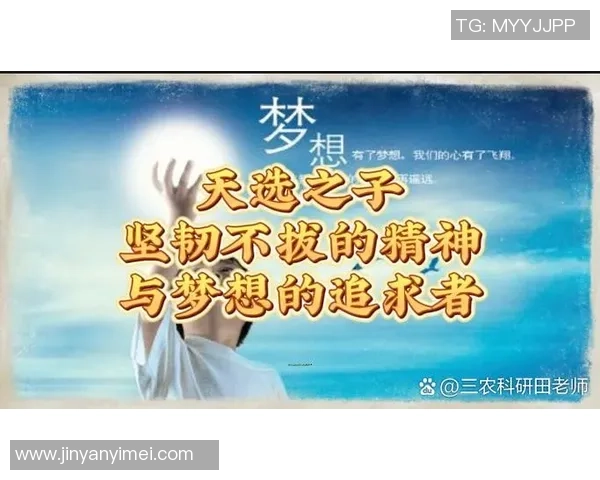 深度对话杨强谈羽毛球人生与梦想追逐的心路历程