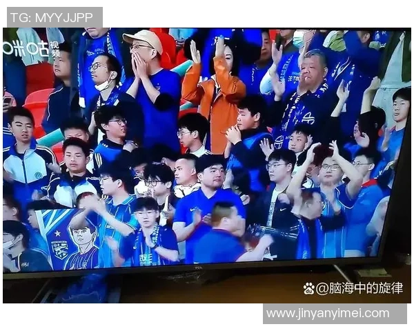 武汉排球队灵活性引发热议球迷与专家观点交锋探讨战术调整与未来发展