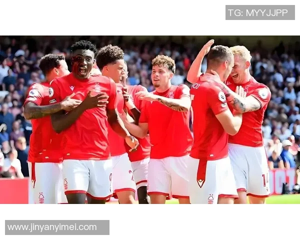 足球伪粉现象解析：为何他们热衷于追随而非真正热爱这项运动