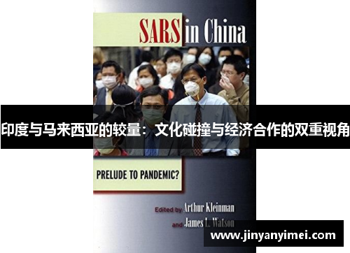 印度与马来西亚的较量：文化碰撞与经济合作的双重视角