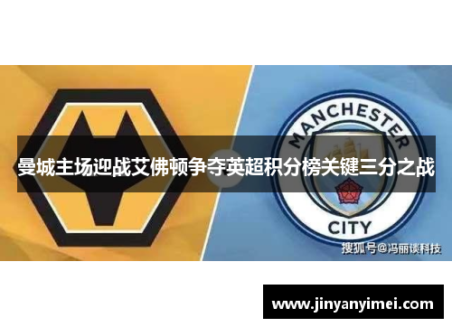 曼城主场迎战艾佛顿争夺英超积分榜关键三分之战