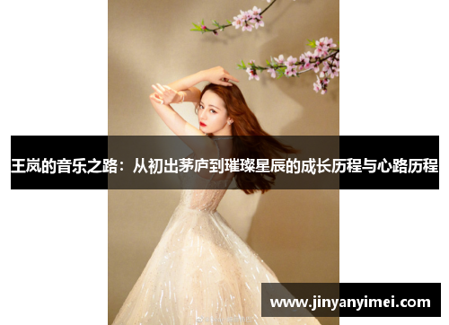 王岚的音乐之路：从初出茅庐到璀璨星辰的成长历程与心路历程